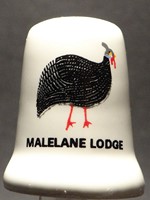 Malelane lodge